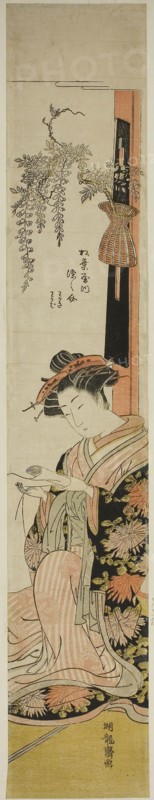 The Courtesan Somenosuke of the Matsubaya, c. 1776/81, Isoda Koryusai, Japanese, 1735-1790, Japan, Color woodblock print, hashira-e, 27 3/8 x 4 3/4 in.