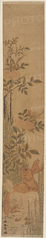 Hares and Roses, c. 1783, Katsushika Hokusai ?? ??, Japanese, 1760-1849, Japan, Color woodblock print, hashira-e, 67.2 x 12.1 cm