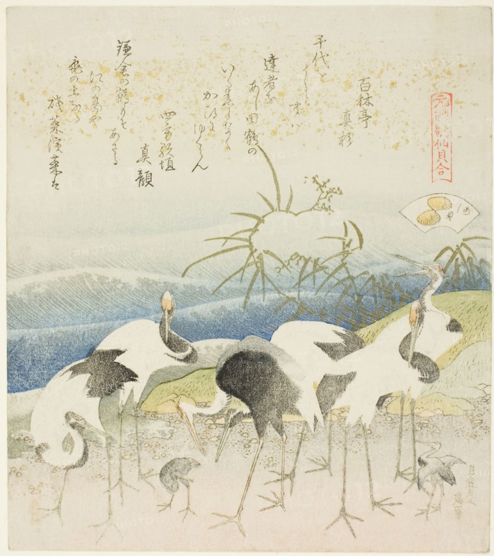 Cranes by the Shore, illustration for The Leg Shell (Ashigai), from the series A Matching Game with Genroku-period Poem Shells (Genroku kasen kai awase), 1821, Katsushika Hokusai ?? ??, Japanese, 1760–1849, Japan, Color woodblock print with metallic pigments, surimono shikishiban, 20.3 x 17.8 cm