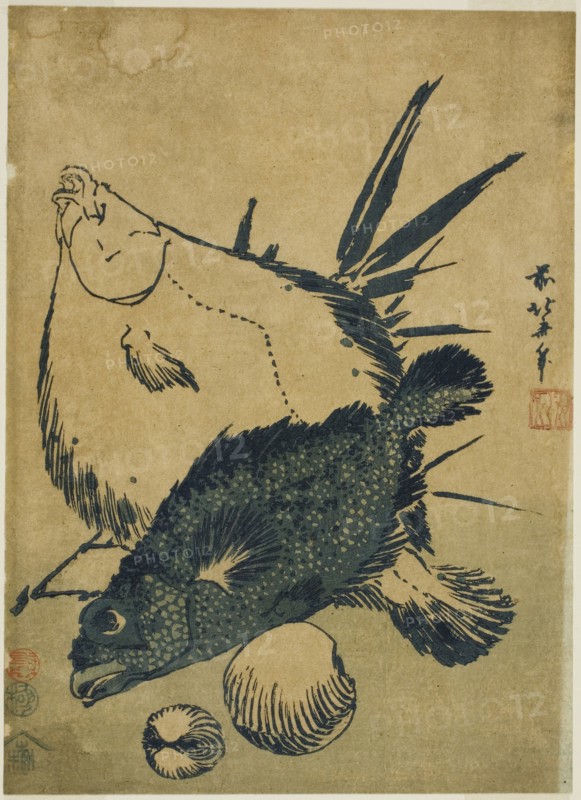 Flatfish, scorpion fish, and shells, from an untitled series of chuban prints, c. 1831, Katsushika Hokusai ?? ??, Japanese, 1760-1849, Japan, Color woodblock print, chuban