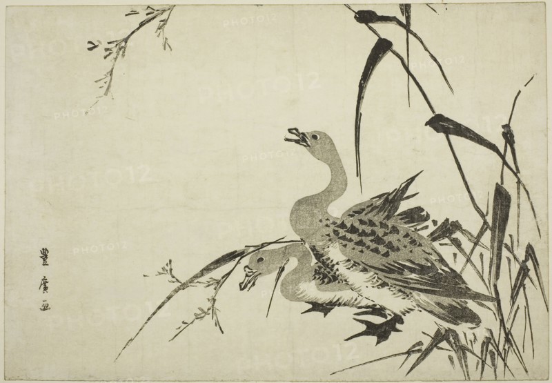 Wild Geese and Reeds, c. 1810, Utagawa Toyohiro, Japanese, 1773-1828, Japan, Woodblock print, oban, 9 3/4 x 14 in.