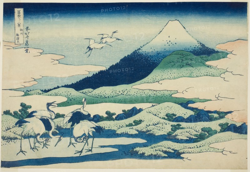 Umezawa Marsh in Sagami Province (Soshu Umezawa hidari), from the series Thirty-six Views of Mount Fuji (Fugaku sanjurokkei), c. 1830/33, Katsushika Hokusai ?? ??, Japanese, 1760-1849, Japan, Color woodblock print, oban, 25.7 x 37.8 cm (10 1/8 x 14 11/16 in.)