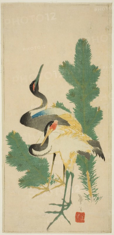Pine and cranes, c. 1830/44, Katsushika Taito II, Japanese, active c, 1810–53, Japan, Color woodblock print, section of harimaze sheet, 14 x 6 1/2 in.