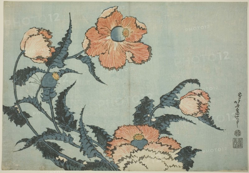 Poppies, from an untitled series of flowers, c. 1832, Katsushika Hokusai ?? ??, Japanese, 1760-1849, Japan, Color woodblock print, oban, 25.4 x 36.5 cm (10 x 14 3/8 in.)