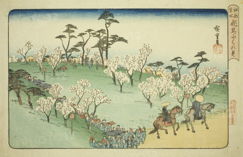 Viewing Cherry Blossoms at Asuka Hill (Asukayama hanami), from the series Famous Places in Edo (Koto meisho), c. 1832/34, Utagawa Hiroshige ?? ??, Japanese, 1797-1858, Japan, Color woodblock print, oban, 25.1 x 37 (9 7/8 x 14 5/8 in.)