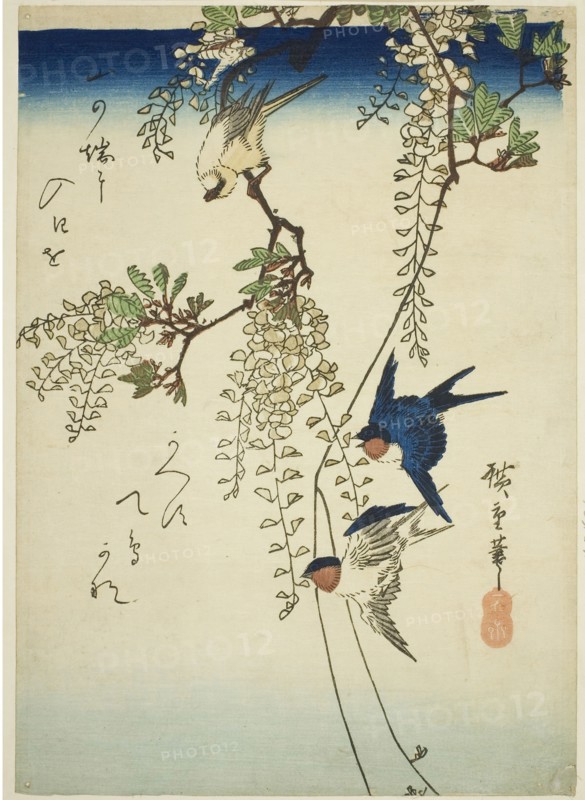 Swallow, yellow bird, and wisteria, 1830s–1840s, Utagawa Hiroshige ?? ??, Japanese, 1797-1858, Japan, Color woodblock print, chuban, 26.5 x 18.9 cm (10 1/2 x 7 3/8 in.)