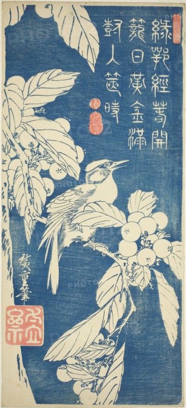 Loquat and bird, early 1830s, Utagawa Hiroshige ?? ??, Japanese, 1797-1858, Japan, Color woodblock print, otanzaku, 38.2 x 17.2 cm (15 x 6 3/4 in.)