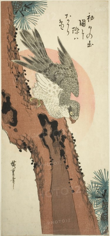 Falcon on a Pine Tree with the Rising Sun, c. 1835, Utagawa Hiroshige ?? ??, Japanese, 1797-1858, Japan, Color woodblock print, otanzaku, 38.4 x 17.5 cm (15 x 6 3/4 in.)