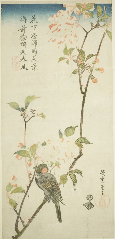 Bullfinch on aronia branch, 1830s, Utagawa Hiroshige ?? ??, Japanese, 1797-1858, Japan, Color woodblock print, otanzaku, 37.4 x 17.8 cm (14 3/4 x 7 in.)
