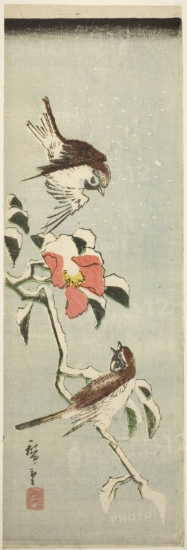Sparrows and camellia in snow, 1840s, Utagawa Hiroshige ?? ??, Japanese, 1797-1858, Japan, Color woodblock print, aitanzaku, 34.1 x 11.2 cm
