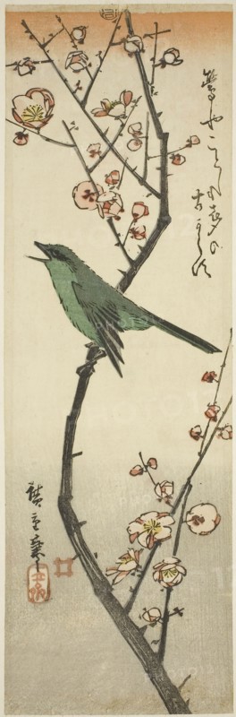 Bush warbler and plum, 1840s, Utagawa Hiroshige ?? ??, Japanese, 1797-1858, Japan, Color woodblock print, kotanzaku, 34.3 x 11 cm (13 1/2 x 4 3/8 in.)