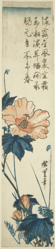 Hibiscus, 1830s, Utagawa Hiroshige ?? ??, Japanese, 1797-1858, Japan, Color woodblock print, kotanzaku, 34.6 x 7.5 cm (13 5/8 x 2 7/8 in.)