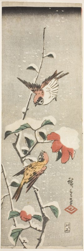 Sparrows and Camellia in Snow, c. 1837/48, Utagawa Hiroshige ?? ??, Japanese, 1797-1858, Japan, Color woodblock print, tanzaku, 34.5 x 11.5 cm