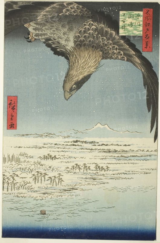 Fukagawa Susaki and Jumantsubo (Fukagawa Susaki Jumantsubo), from the series One Hundred Famous Views of Edo (Meisho Edo hyakkei), 1857, Utagawa Hiroshige ?? ??, Japanese, 1797–1858, Japan, Color woodblock print, oban, 33.3 x 22 cm (13 1/8 x 8 11/16 in.)