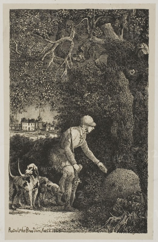 The Diplomat and the Anthill, Illustration for Fables and Tales by Hippolyte de Thierry-Faletans, 1868, Rodolphe Bresdin, French, 1825-1885, France, Lithograph (etching transfer) on cream China paper laid down on white wove paper, 161 × 101 mm (image), 171 × 108 mm (chine), 285 × 400 mm (sheet)