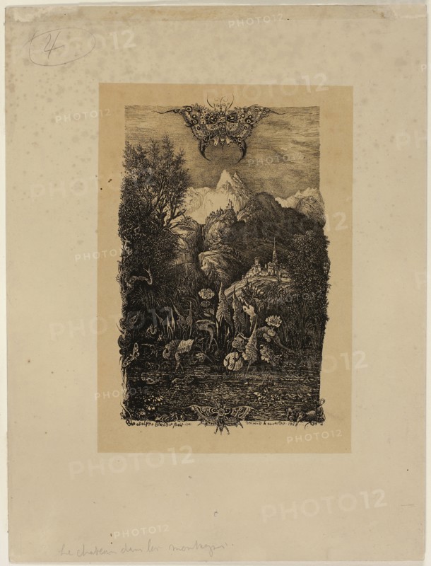 The Butterfly and the Pond, 1868, Rodolphe Bresdin, French, 1825-1885, France, Lithograph (etching transfer) in black on tan-toned cream wove paper, 180 × 112 mm (image), 290 × 218 mm (sheet)