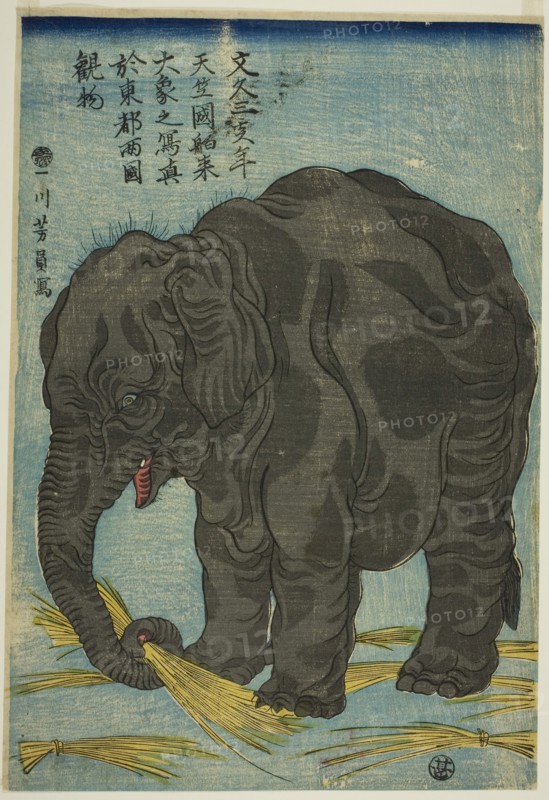 Picture of Large Elephant from India (Tenjiku hakurai dai zo no shashin), An Attraction at Ryogoku in the Eastern Capital (Toto Ryogoku mimono), 1863, Utagawa Yoshikazu, Japanese, active c. 1850–70, Japan, Color woodblock print, oban
