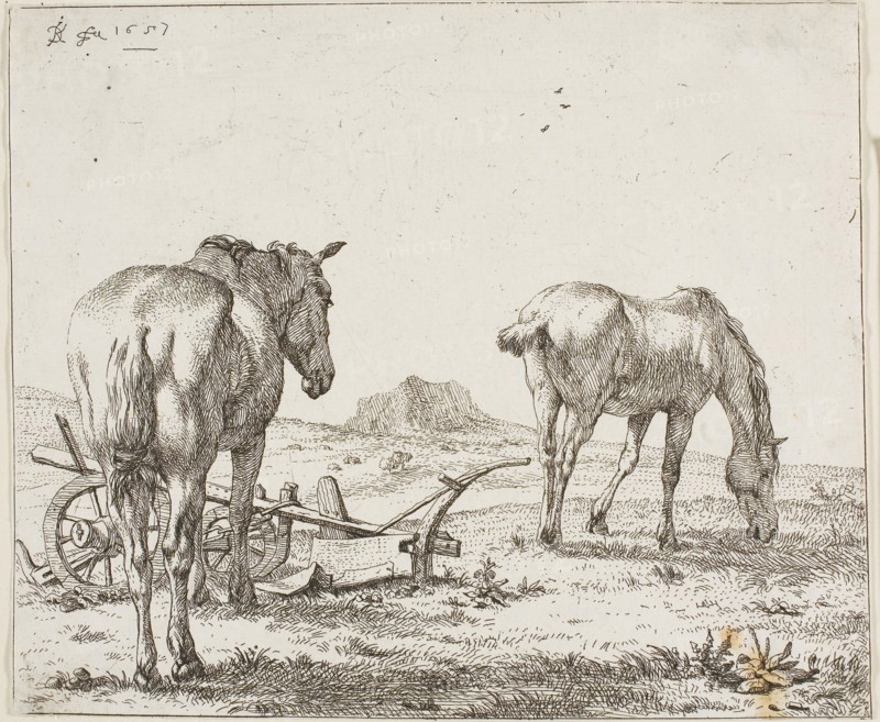 Two Horses by a Plough, 1657, Karel Dujardin, Dutch, c. 1622-1678, Holland, Etching on paper, 155 x 184 mm