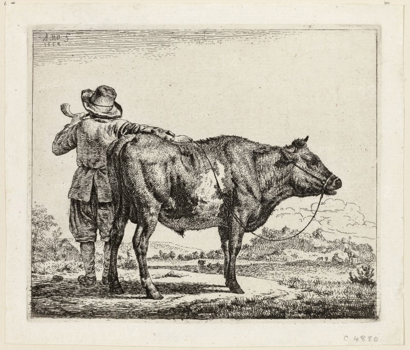 The Cowherd and the Bull, 1659, Adriaen van de Velde, Dutch, 1636-1672, Holland, Etching in black on ivory wove paper, 113 x 134 mm (plate), 129 x 151 mm (sheet)