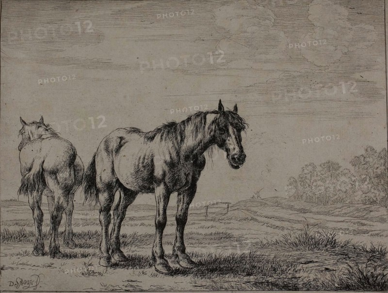 Two Plough Horses, plate seven from Series of Horses, 1651, Dirck Stoop, Dutch, 1610-1686, Netherlands, Etching on ivory laid paper, 150 x 196 mm (plate), 174 x 213 mm (sheet)