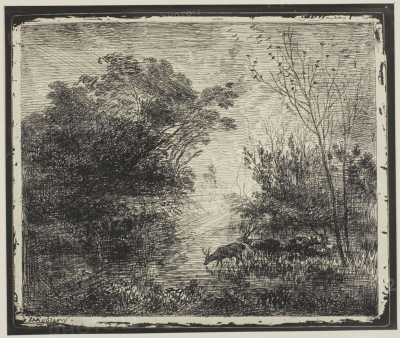 Stags, 1862, Charles François Daubigny, French, 1817-1878, France, Cliché-verre on ivory photographic paper, 154 × 186 mm (image), 172 × 204 mm (sheet)