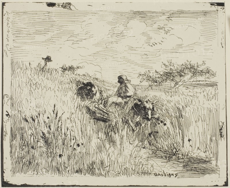 Path Through the Wheatfield, 1862, Charles François Daubigny, French, 1817-1878, France, Cliché-verre on ivory photographic paper, 147 × 185 mm (image), 165 × 200 mm (sheet)
