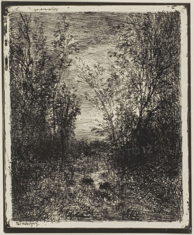 Brook in the Clearing, 1862, Charles François Daubigny, French, 1817-1878, France, Cliché-verre on ivory photographic paper, 189 × 152 mm (image), 205 × 170 mm (sheet)
