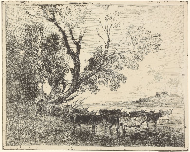 The Ford, 1862, Charles François Daubigny, French, 1817-1878, France, Cliché-verre on ivory photographic paper, 277 × 346 mm (image), 293 × 361 mm (sheet)