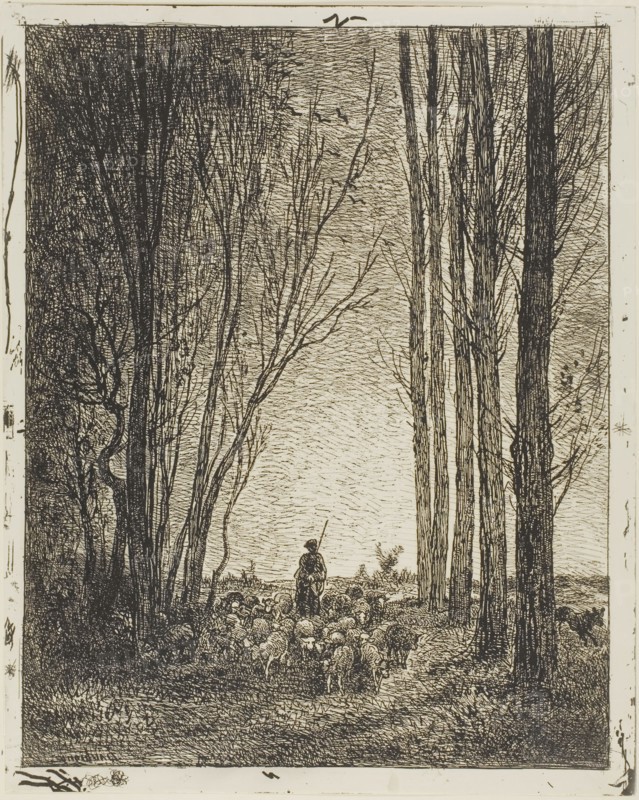 Return of the Flock, 1862, Charles François Daubigny, French, 1817-1878, France, Cliché-verre on ivory photographic paper, 342 × 270 mm (image), 360 × 290 mm (sheet)