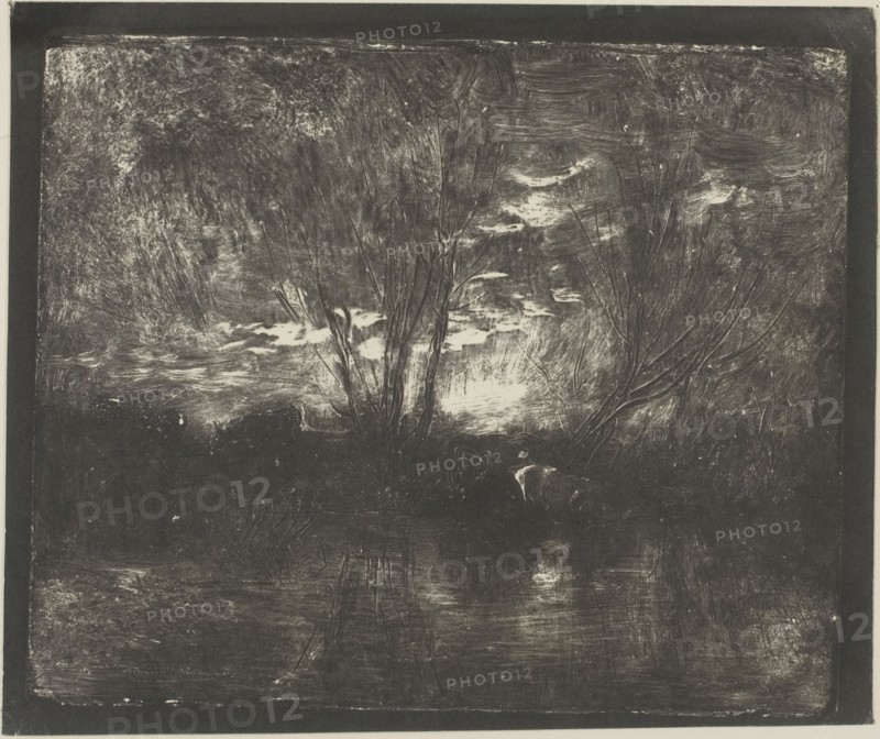Cows at the Watering Place, 1862, Charles François Daubigny, French, 1817-1878, France, Cliché-verre on ivory photographic paper, 165 × 198 mm (image), 180 × 213 mm (sheet)