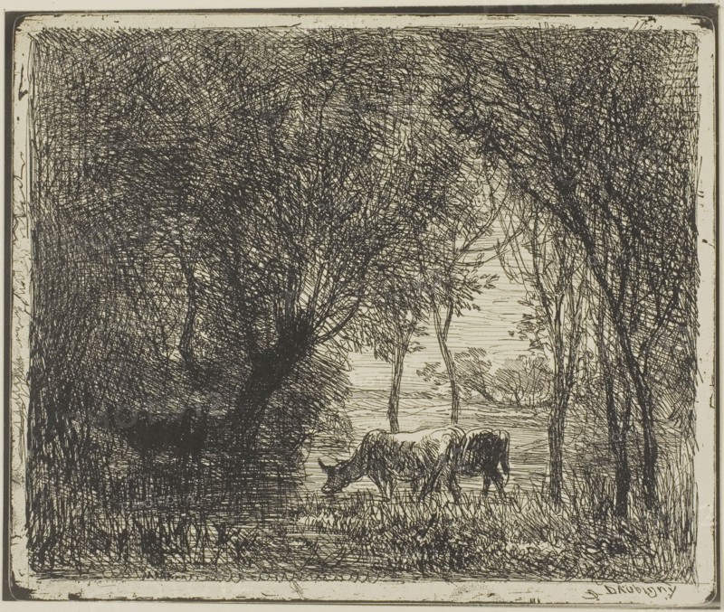 Cows in a Wood, 1862, Charles François Daubigny, French, 1817-1878, France, Cliché-verre on ivory photographic paper, 156 × 190 mm (image), 167 × 203 mm (sheet)