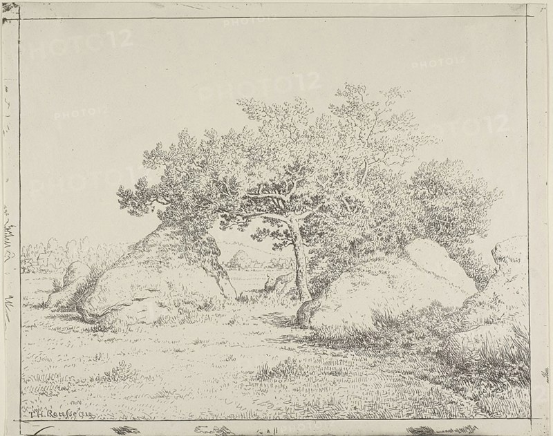 Cherry Tree at Plante à Biau, 1862, Théodore Rousseau, French, 1812-1867, France, Cliché-verre on ivory wove paper, 235 × 295 mm (image), 235 × 295 mm (sheet)