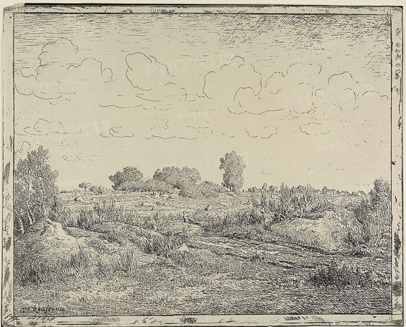 Plain at Plante à Biau, 1862, Théodore Rousseau, French, 1812-1867, France, Cliché-verre on cream wove paper, 244 × 302 mm (image), 244 × 302 mm (sheet)