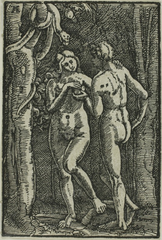 The Fall of Man, from The Fall and Redemption of Man, 1513, Albrecht Altdorfer, German, c.1480-1538, Germany, Woodcut in black on ivory laid paper, 72 x 48 mm (image/block/sheet)