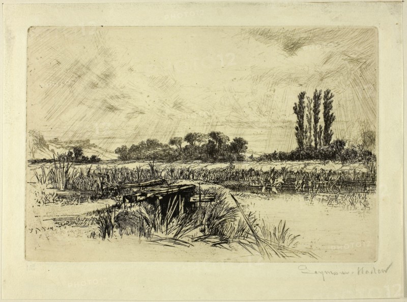 A Water Meadow, 1859, Francis Seymour Haden, English, 1818-1910, England, Etching on copper printed on ivory wove paper, 151 × 227 mm (image/plate), 191 × 258 mm (sheet)