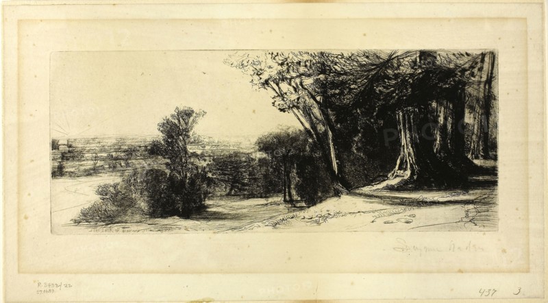 Early Morning, Richmond Park, 1859, Francis Seymour Haden, English, 1818-1910, England, Etching and drypoint on ivory laid paper, 137 × 277 mm (image/plate), 182 × 333 mm (sheet)
