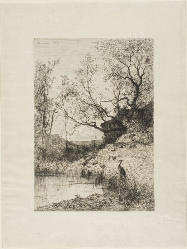 A Pond Near Rousillon, 1867, Adolphe Appian, French, 1818-1898, France, Etching on ivory wove paper, 235 × 165 mm (plate), 332 × 250 mm (sheet)