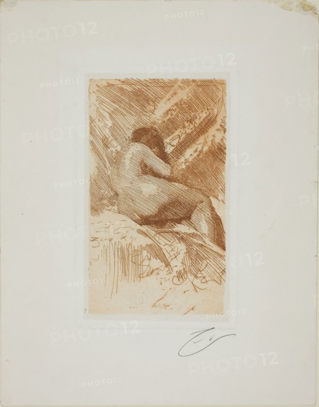 Nude Study, 1884, Anders Zorn, Swedish, 1860-1920, Sweden, Etching in brown ink on white wove paper, 182 x 106 mm (image), 203 x 123 mm (plate), 315 x 246 mm (sheet)