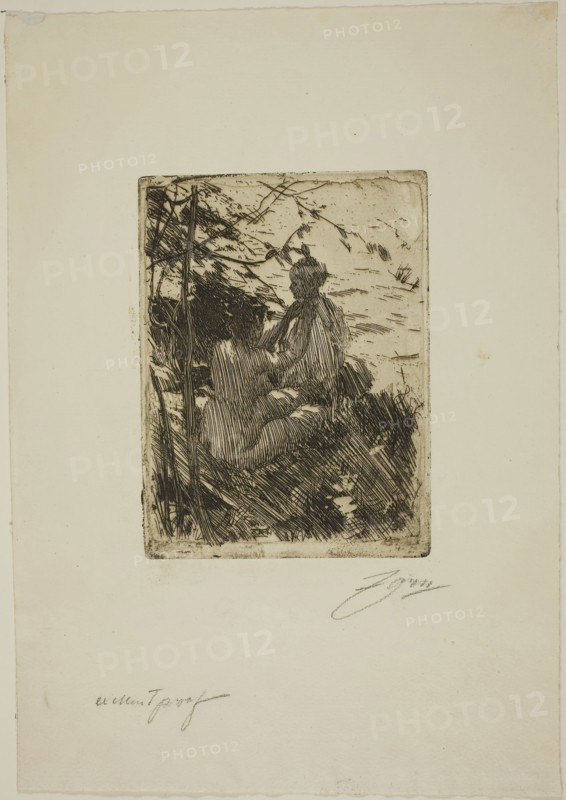 In the Open Air, 1890, Anders Zorn, Swedish, 1860-1920, Sweden, Etching on ivory laid paper, 147 x 113 mm (image), 157 x 117 mm (plate), 320 x 223 mm (sheet)