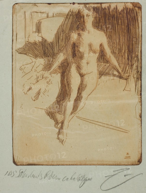 Study from Model, 1898, Anders Zorn, Swedish, 1860-1920, Sweden, Etching printed in reddish brown ink on light blue laid paper, 136 x 108 mm (image/plate), 333 x 212 mm (sheet)