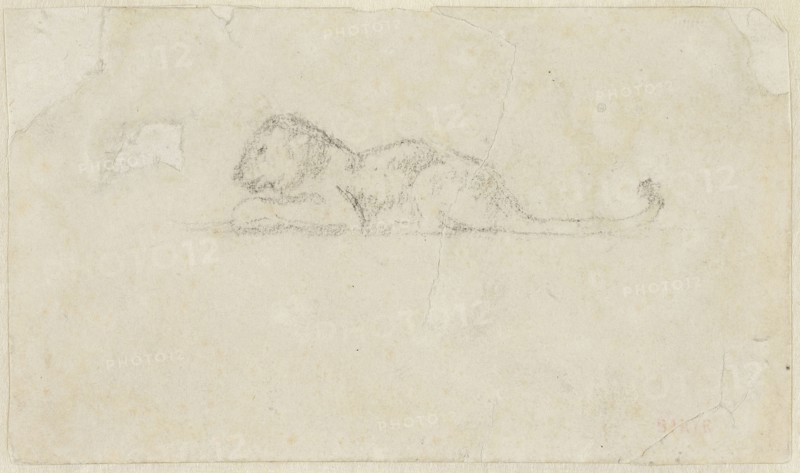 Seated Lioness, n.d., Antoine Louis Barye, French, 1795-1875, France, Graphite on ivory wove paper, laid down on ivory wove paper, 65 × 110 mm