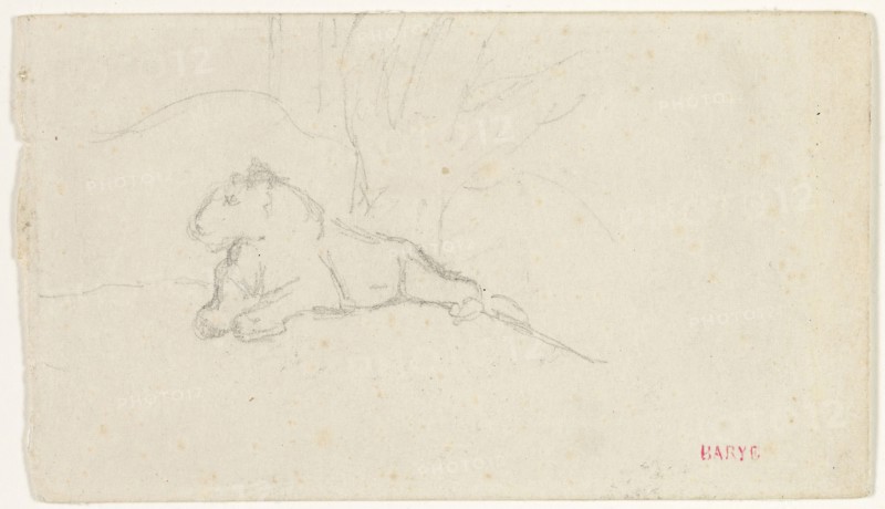 Lioness Lying near a Tree, n.d., Antoine Louis Barye, French, 1795-1875, France, Graphite on ivory wove paper, laid down on ivory wove paper, 65 × 113 mm