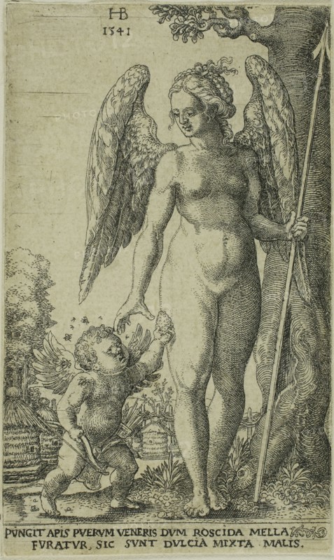 Cupid Bringing and Honeycomb to Venus, 1541, Hans Brosamer, German, c. 1500-1554, Germany, Engraving in black on cream laid paper, 92 x 56 mm (sheet)