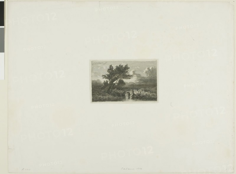 Alpine Landscape, n.d., Alexandre Calame, Swiss, 1810-1864, Switzerland, Etching on paper, 65 x 108 mm (image), 110 x 70 mm (plate), 276 x 362 mm (sheet)