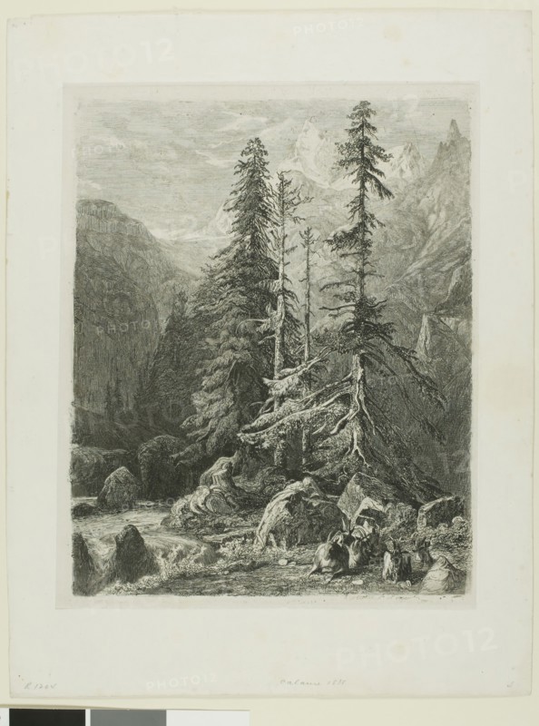 Alpine Landscape, n.d., Alexandre Calame, Swiss, 1810-1864, Switzerland, Etching on paper, 259 x 209 mm (image), 275 x 220 mm (plate), 357 x 273 mm (sheet)