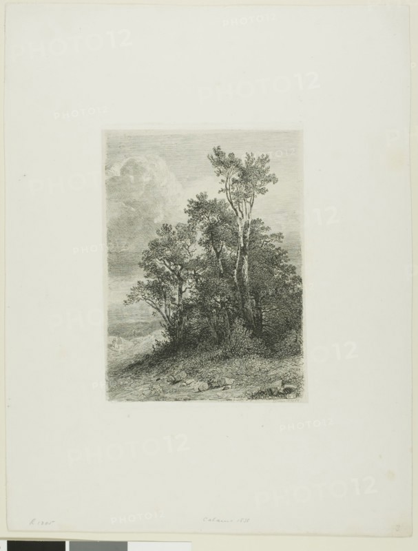 Alpine Landscape, 1861, Alexandre Calame, Swiss, 1810-1864, Switzerland, Etching on paper, 184 x 133 mm (image), 193 x 138 mm (plate), 360 x 276 mm (sheet)