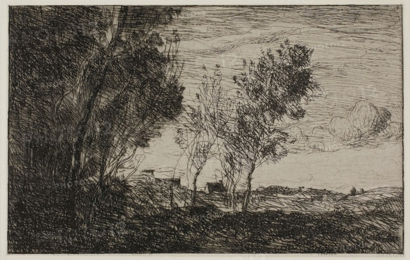 In the Dunes: Souvenir of the Woods of the Hague, 1869, Jean-Baptiste-Camille Corot, French, 1796-1875, France, Etching on ivory laid paper laid down on ivory laid paper (chine collé), 122 × 191 mm (chine), 130 × 197 mm (plate), 275 × 386 mm (sheet)