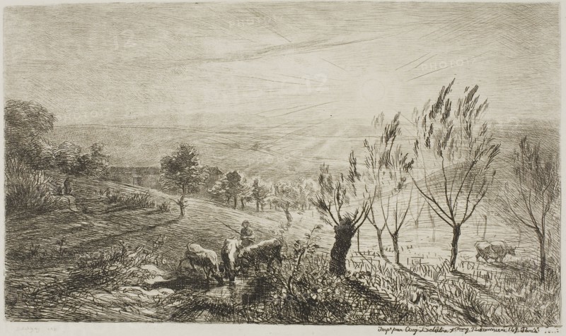 Sunrise, 1850, Charles François Daubigny, French, 1817-1878, France, Etching on ivory wove paper, 134 × 230 mm (image), 178 × 262 mm (plate), 305 × 412 mm (sheet)