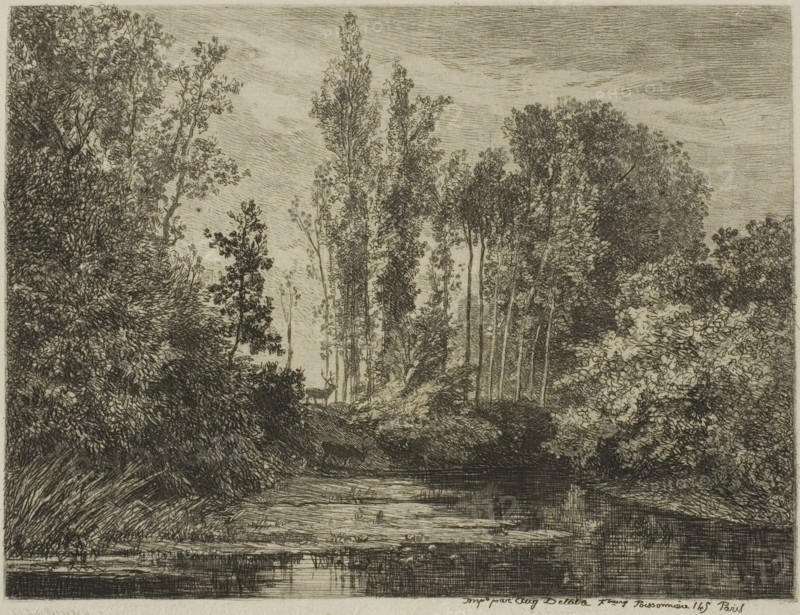 Stags at the Water’s Edge, 1850, Charles François Daubigny, French, 1817-1878, France, Etching, roulette and aquatint on cream Japanese paper, 118 × 155 mm (image), 136 × 173 mm (plate), 263 × 395 mm (sheet)