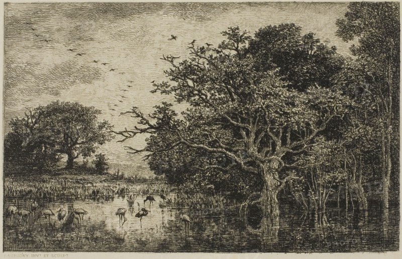 The Marsh with Storks, c. 1851, Charles François Daubigny, French, 1817-1878, France, Etching on cream Japanese paper, 126 × 198 mm (image), 148 × 218 mm (plate), 262 × 393 mm (sheet)